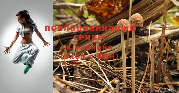 мяу мяу мука Богородск