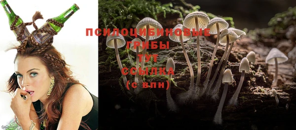 мяу мяу мука Богородск