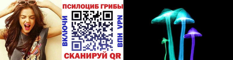 Псилоцибиновые грибы мицелий  Брюховецкая 