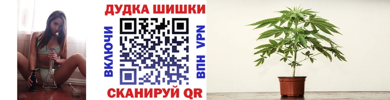 hydra ONION  Брюховецкая  Шишки марихуана VHQ 